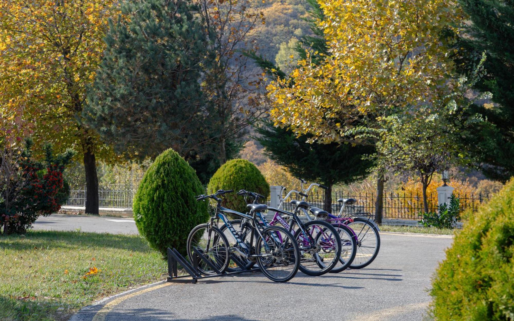 ホテル サマキー パレス シャラジル Seredil エクステリア 写真 Bicycles parked at the entrance of the park